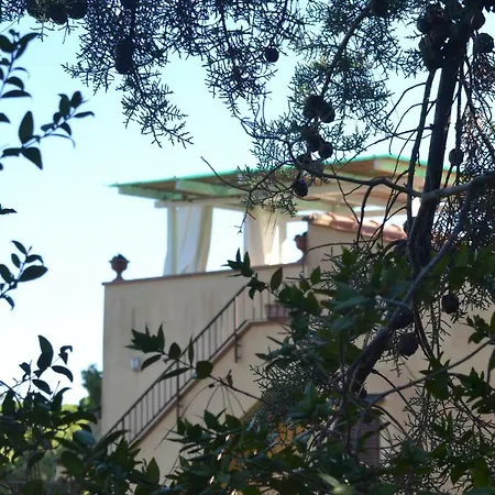 Apartman Tuscany Experience